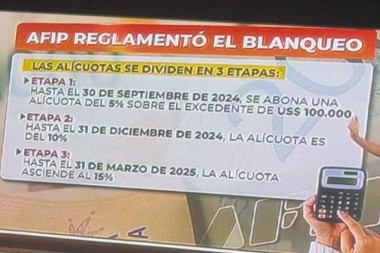 AFIP REGLAMENTO EL BLANQUEO DE CAPITALES